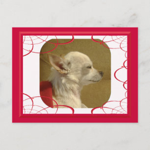 Carte postale Fractal Chihuahua