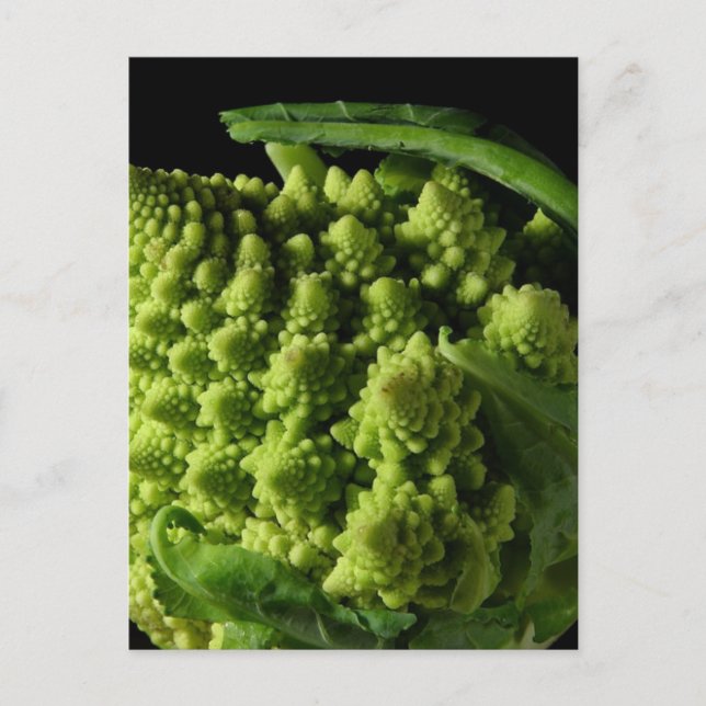 Carte Postale Fractales Romanesco Broccoli (Devant)