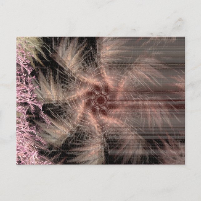 Carte postale fractalfan (Devant)