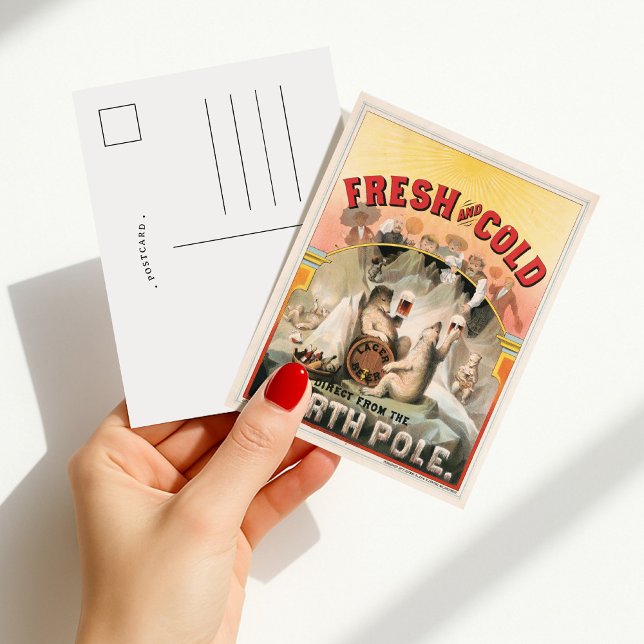 Carte Postale Fraîche et froide – Bière directement livrée du Pô (Créateur téléchargé)