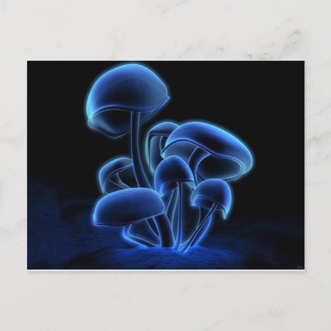 Carte Postale Frais, funky, élégant, rétro, cool (Devant)