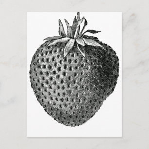 Carte Postale fraise