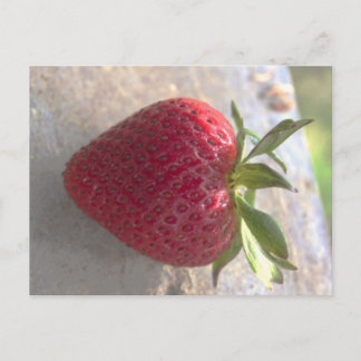 Carte Postale Fraise
