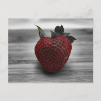 Carte Postale fraise rouge brillante sur noir et blanc