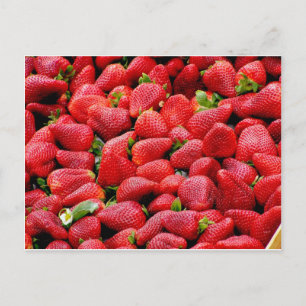Carte Postale Fraises