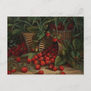 Carte Postale Fraises