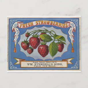 Carte Postale Fraises