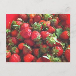 Carte Postale Fraises | baies rouges fraîches