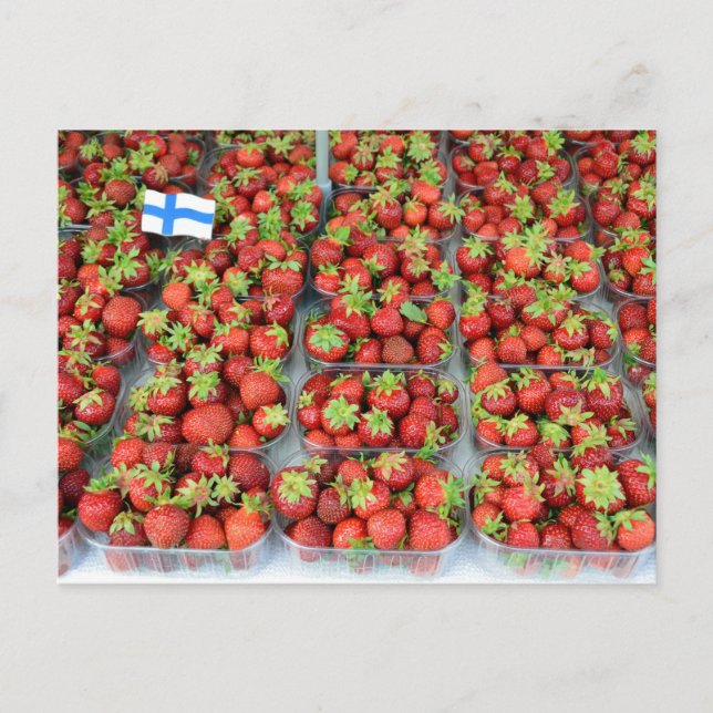 Carte Postale Fraises, Carré de marché, Helsinki, Finlande (Devant)