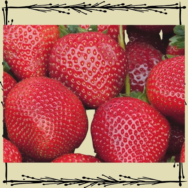Carte Postale Fraises du marché agricole (Créateur téléchargé)