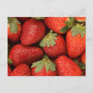 Carte Postale fraises mûres