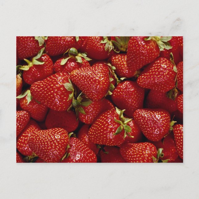 Carte Postale Fraises Photo (Devant)