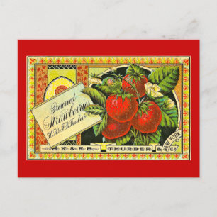 Carte Postale Fraises Thurber Vintage Étiquette Crate Vintage