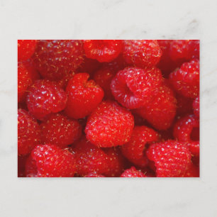 Carte Postale Framboise