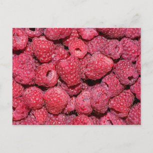 Carte Postale Framboise