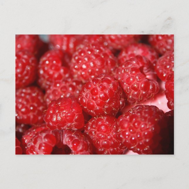 Carte Postale framboise closeuse alimentaire dessin (Devant)