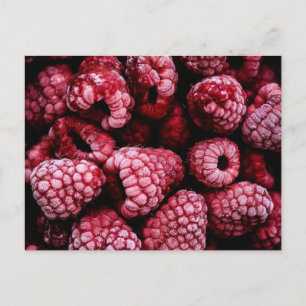 Carte Postale Framboises rouges frais