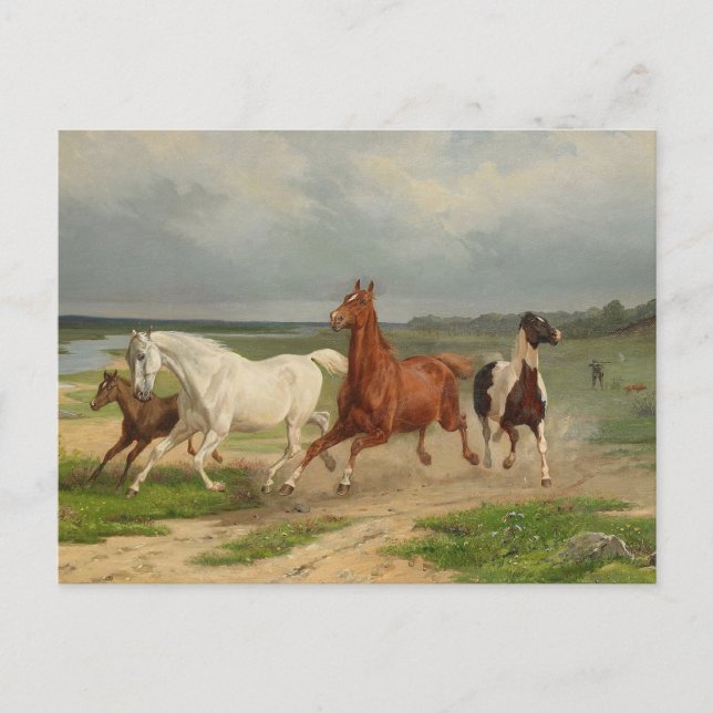 Carte Postale Français : Chevaux en vol (Devant)