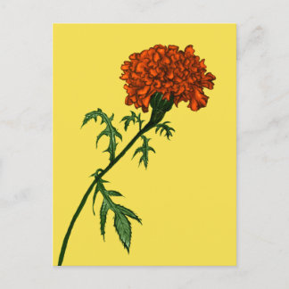 Carte Postale Français Marigold Flower Plante Lover Gardener