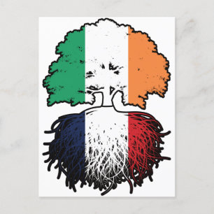 Carte Postale France French Irish Ireland Tree Roots Flag