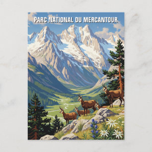 Carte Postale France Mercantour Parc National Travel