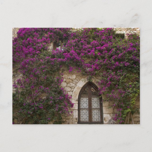 Carte Postale France, Provence, Èze. Rose vif (Devant)