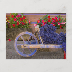 Carte Postale France, Provence, Sault. Vieux chariot en bois ave