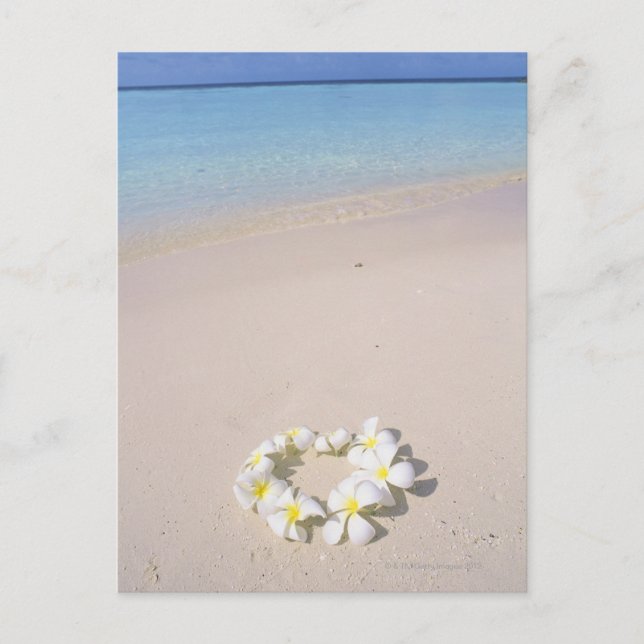 Carte Postale Frangipani sur la plage (Devant)