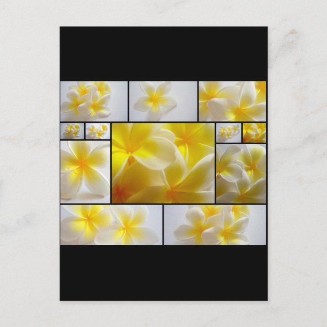 Carte Postale Frangipanis (Devant)