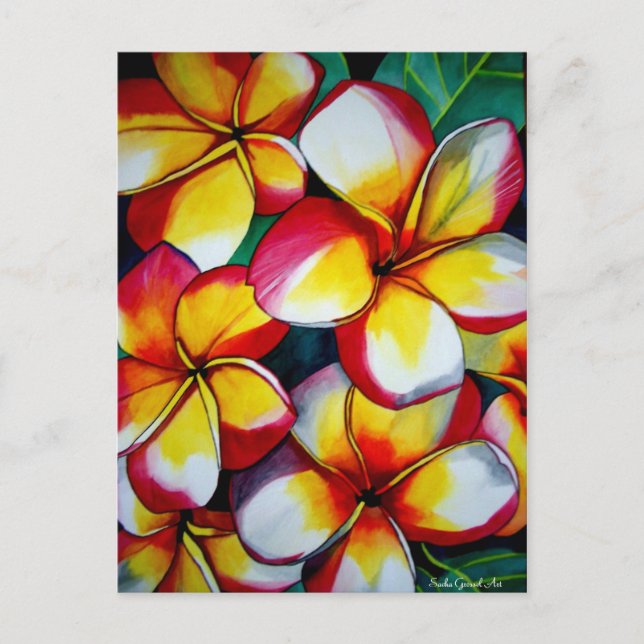 Carte postale Frangipanis rose par Sacha Grossel A (Devant)