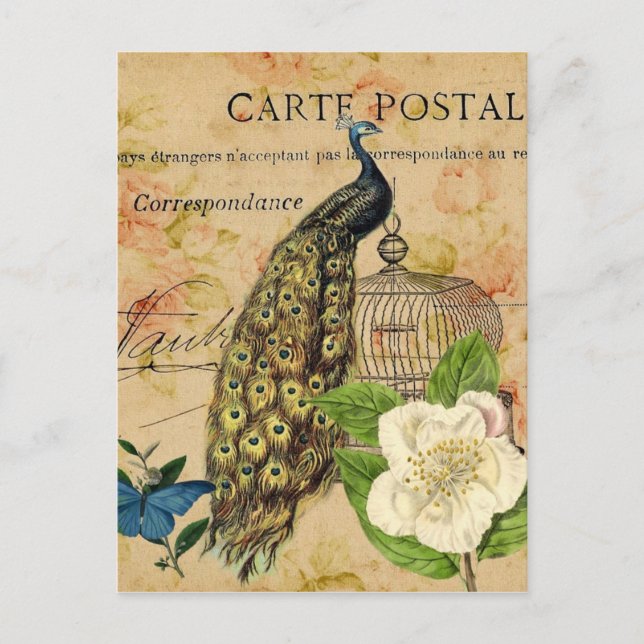 Carte Postale franical camellia birdcage vintage peacock (Devant)