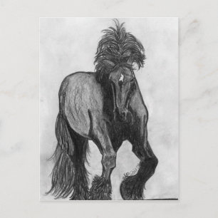 Carte Postale Frankie