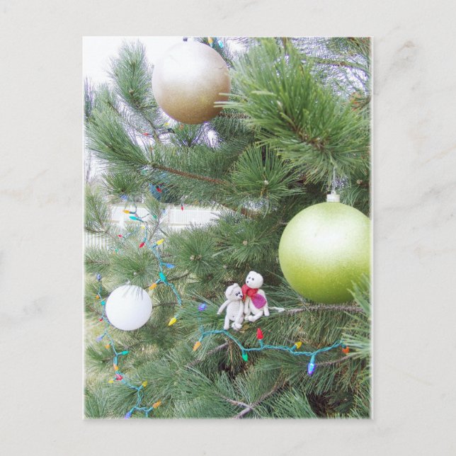 Carte postale Fransciy et Lennart Christmas Tree (Devant)