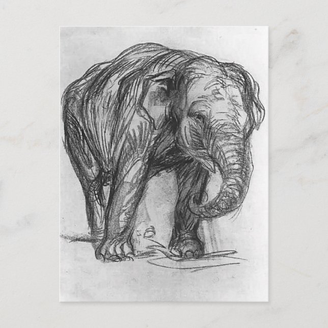 Carte Postale Franz Marc- Elephant (Devant)