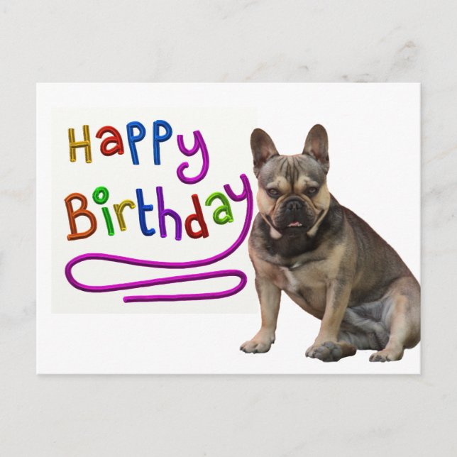 Carte Postale Französische Bulldogge Birthday French Bulldog (Devant)