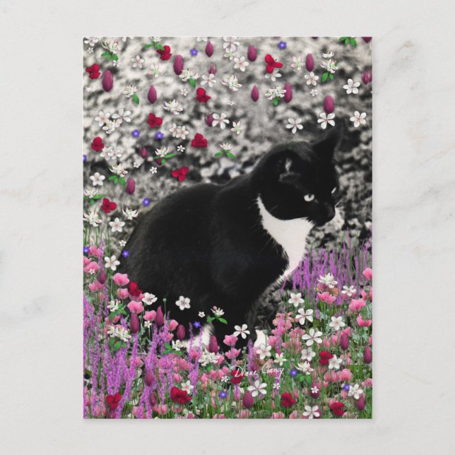 Carte Postale Frappes en Fleurs II - Tuxedo Kitty Cat (Devant)