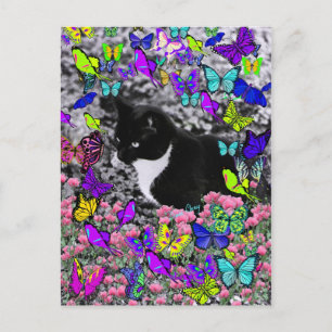 Carte Postale Frapules en papillons II - Tux Kitty Cat