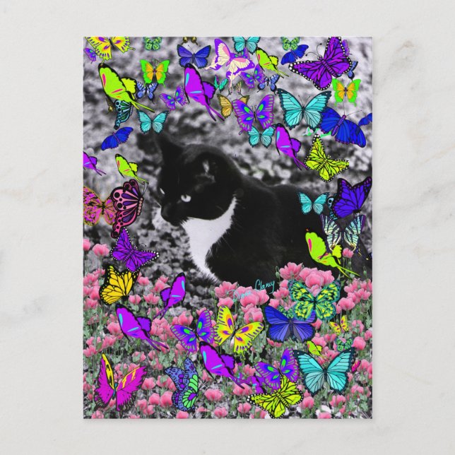 Carte Postale Frapules en papillons II - Tux Kitty Cat (Devant)