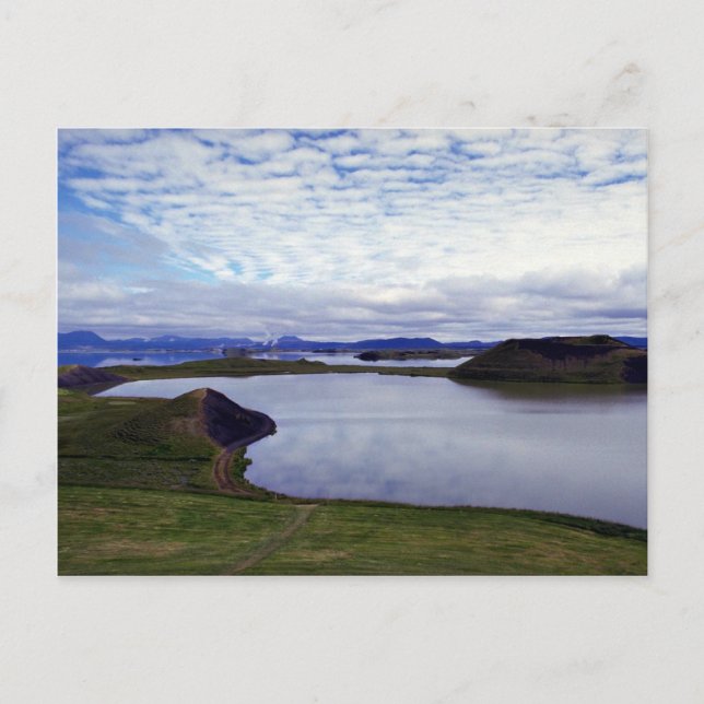 Carte Postale Fratercula Arctica, Islande (Devant)
