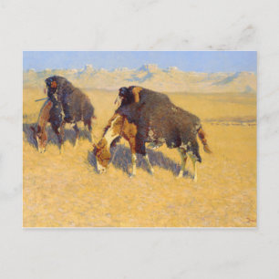 Carte Postale Frederic Remington - Indiens simulant le bison