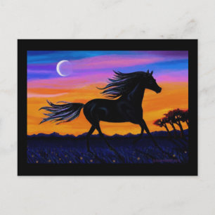 Carte Postale Free As the Wind