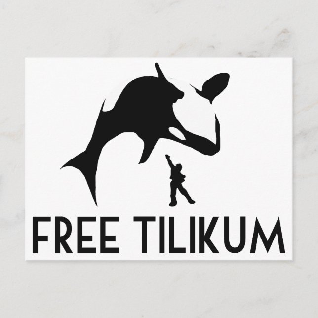 Carte Postale Free Tilikum Save Orca Killer Whale (Devant)