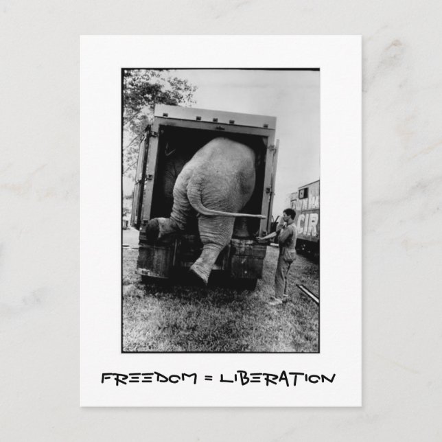 Carte Postale Freedom = Liberation (Devant)