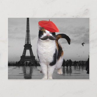 Carte Postale French Cat à Paris
