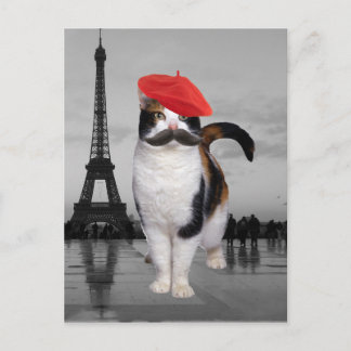 Carte Postale French Cat à Paris
