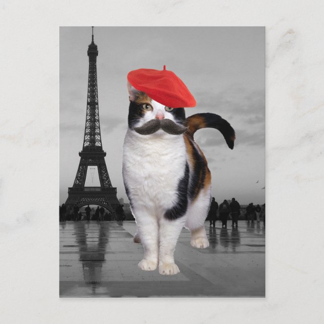 Carte Postale French Cat à Paris (Devant)