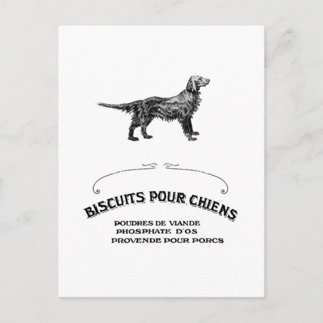 Carte Postale French Dog, Antique Dog Biscuit Et devenu mode (Devant)