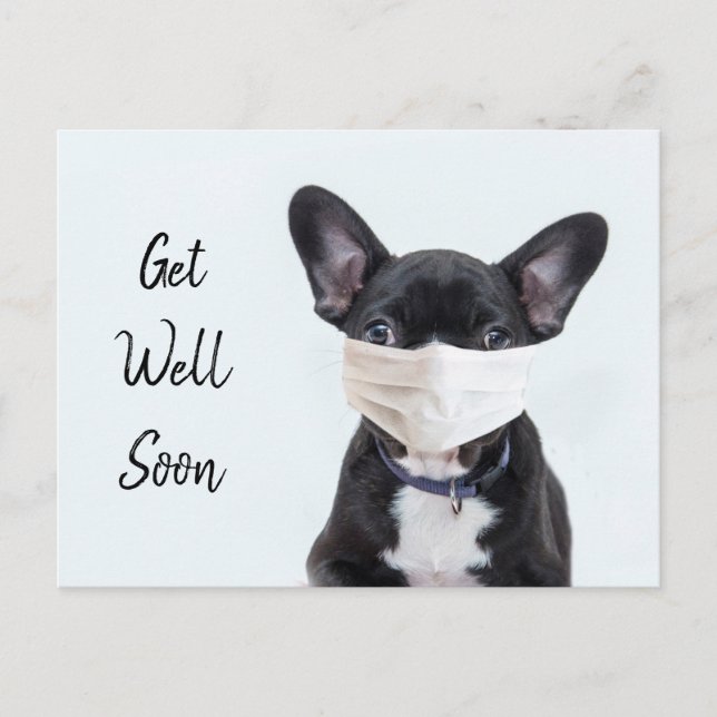 Carte Postale Frenchie au masque guérissez vite (Devant)