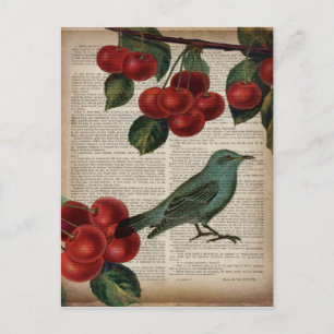 Carte Postale frentry bird retro botanical red cherry