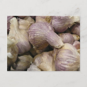 Carte Postale Fresh Garlic